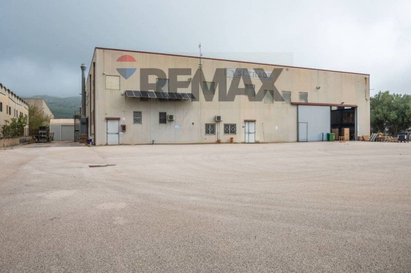 Zakelijk onroerend goed in Caltagirone