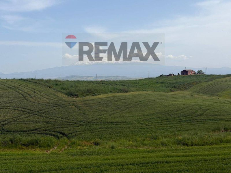 Jordbruksmark i Ramacca