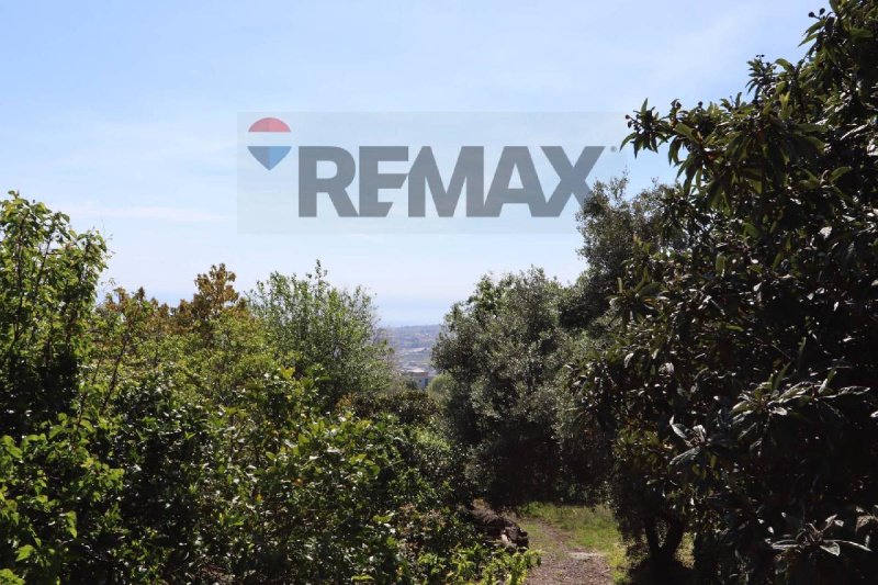 Terreno agricolo a Fiumefreddo di Sicilia