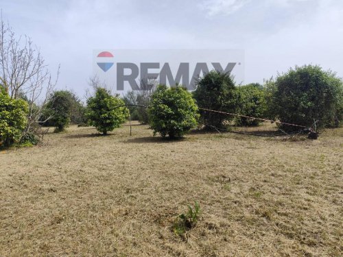 Terreno agrícola em Siracusa
