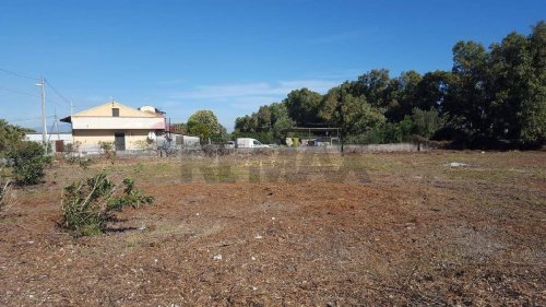 Terreno agrícola en Catania