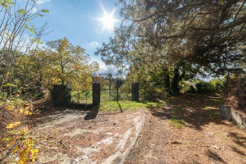 Terreno agricolo a Adrano