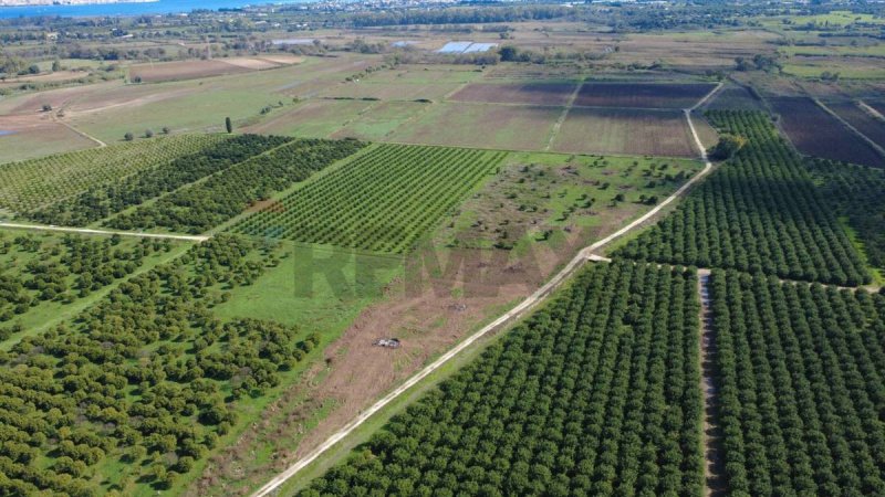 Terreno agrícola en Siracusa