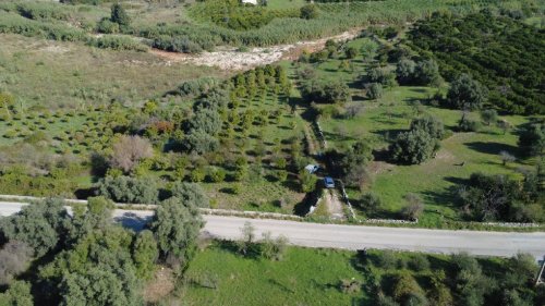 Agricultural land in Syracuse
