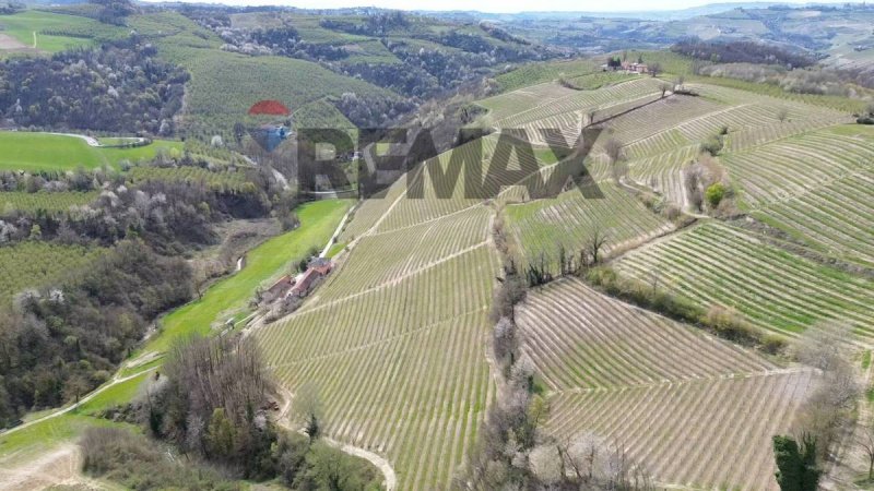 Terreno agricolo a Alba