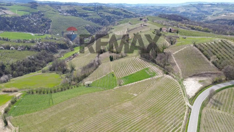 Terreno agricolo a Alba