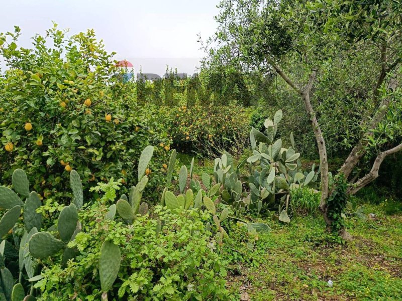 Casa indipendente a Mascali