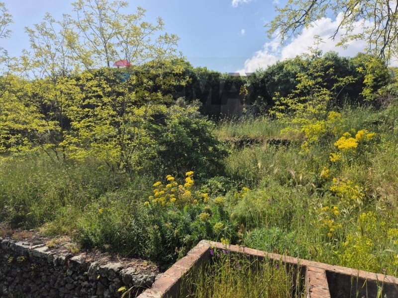Terreno agrícola em Zafferana Etnea