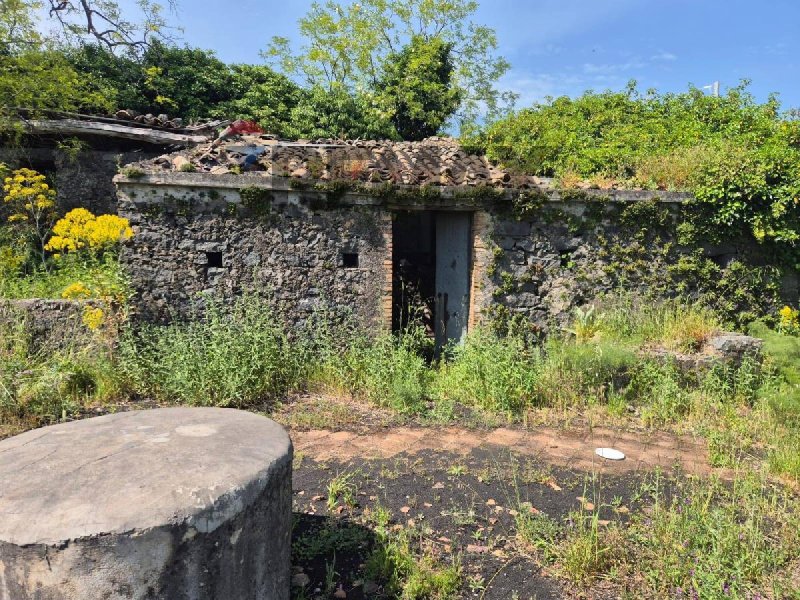 Terreno agrícola em Zafferana Etnea