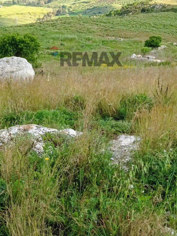 Agricultural land in Ramacca