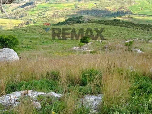 Agricultural land in Ramacca