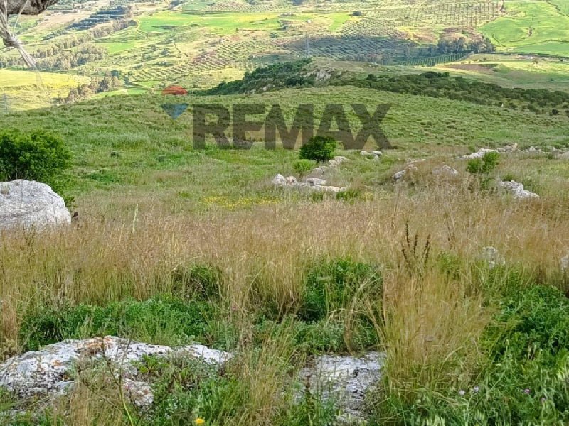 Agricultural land in Ramacca