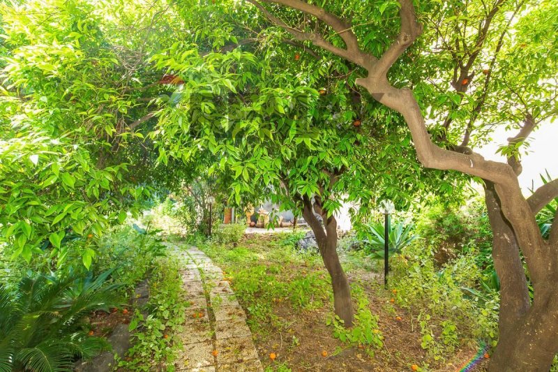 Appartement in Catanië