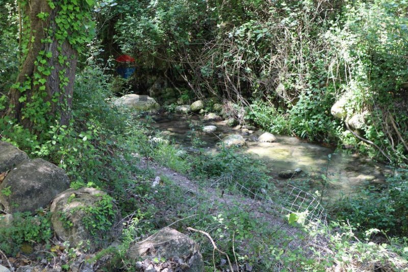 Terreno agricolo a Monterosso Almo