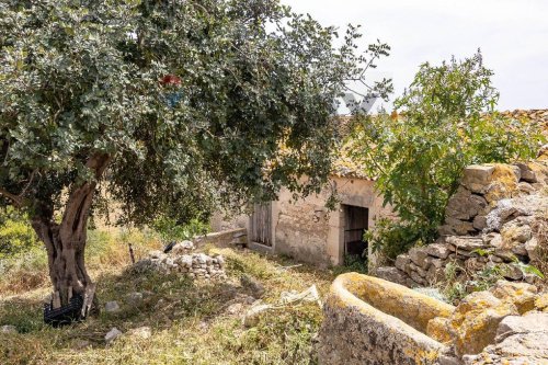Exploitation agricole à Raguse
