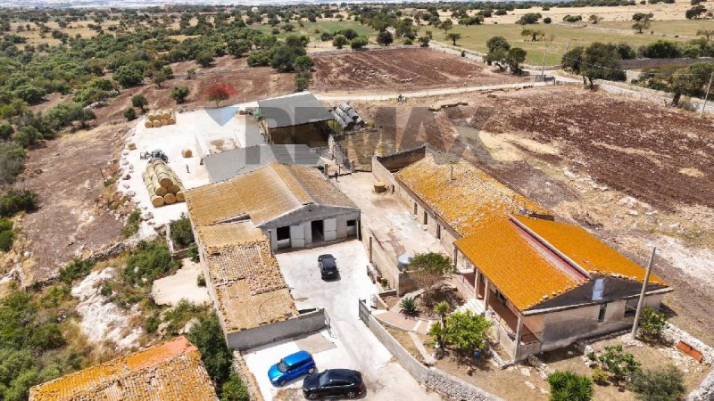 Boerenbedrijf in Ragusa
