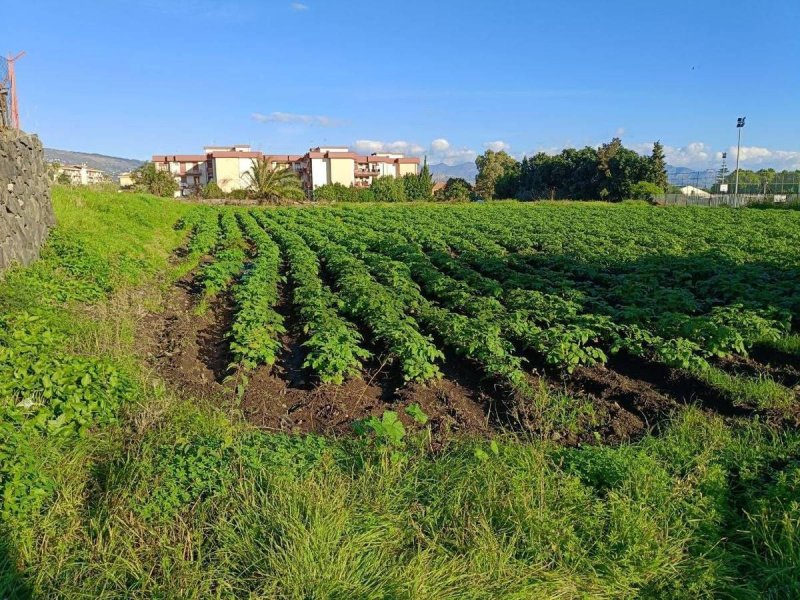Bouwgrond in Riposto