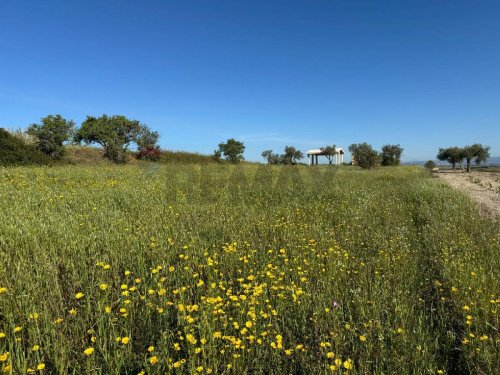 Terreno agrícola em Pachino
