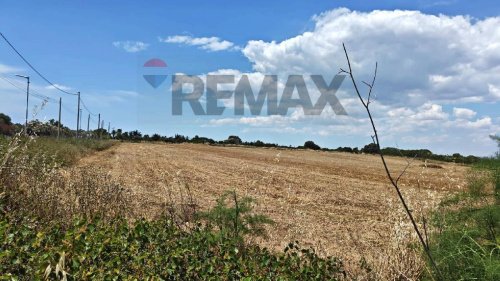 Terreno agrícola em Noto