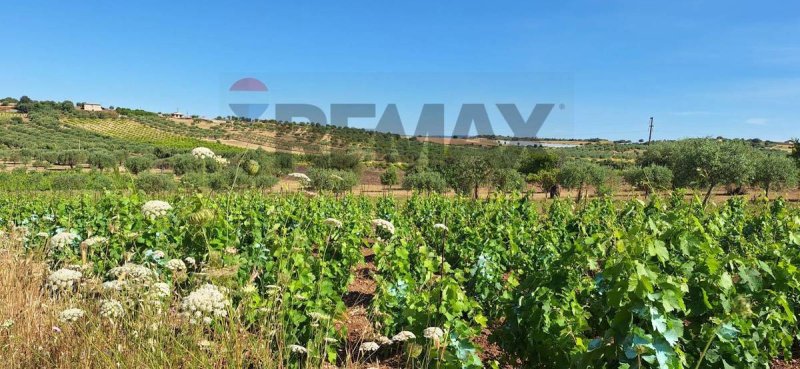 Terreno agrícola em Noto