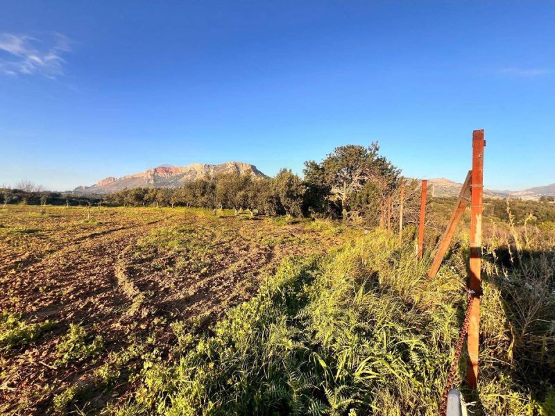 Terreno agrícola em Partinico