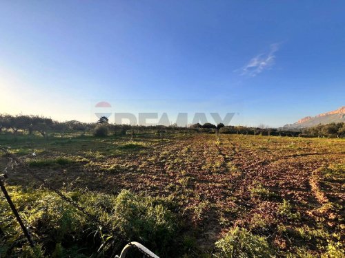 Terreno agrícola em Partinico