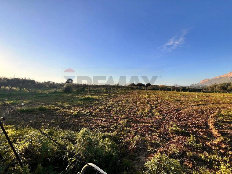 Terreno agrícola em Partinico