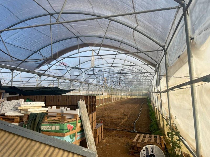 Quinta agrícola em Partinico