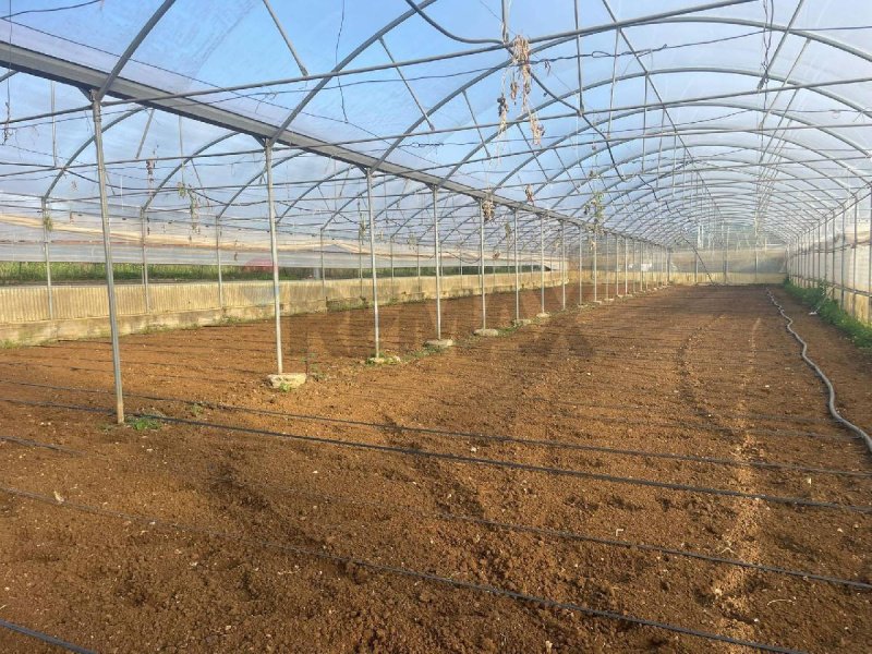 Quinta agrícola em Partinico