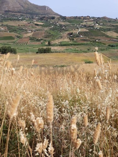 Agricultural land in Calatafimi-Segesta