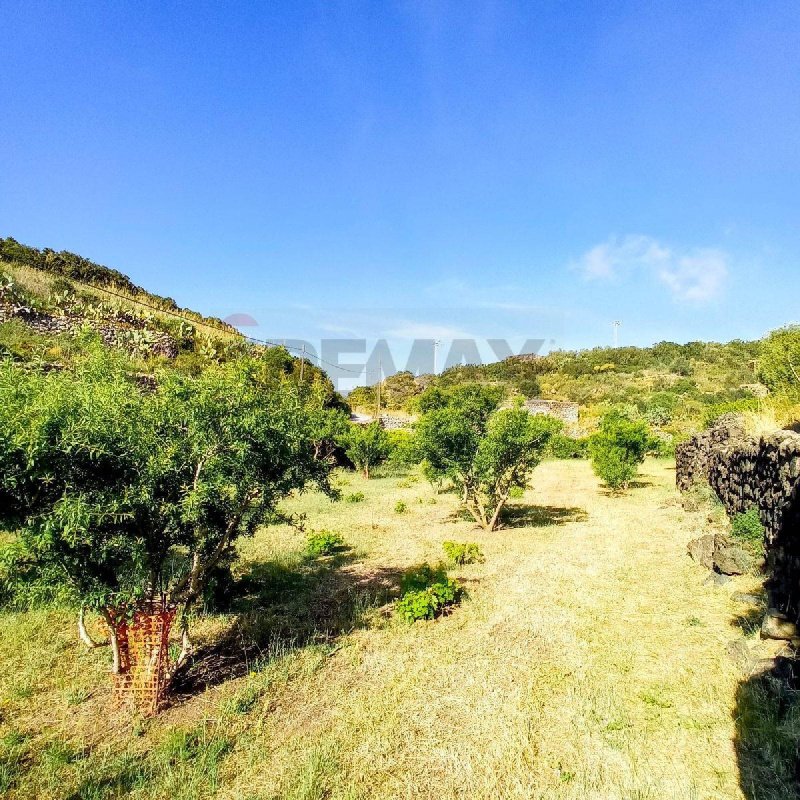 Bouwgrond in Pantelleria