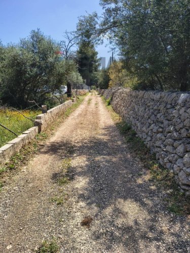 Terreno edificabile a Noto