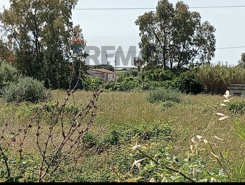 Terreno agrícola en Siracusa