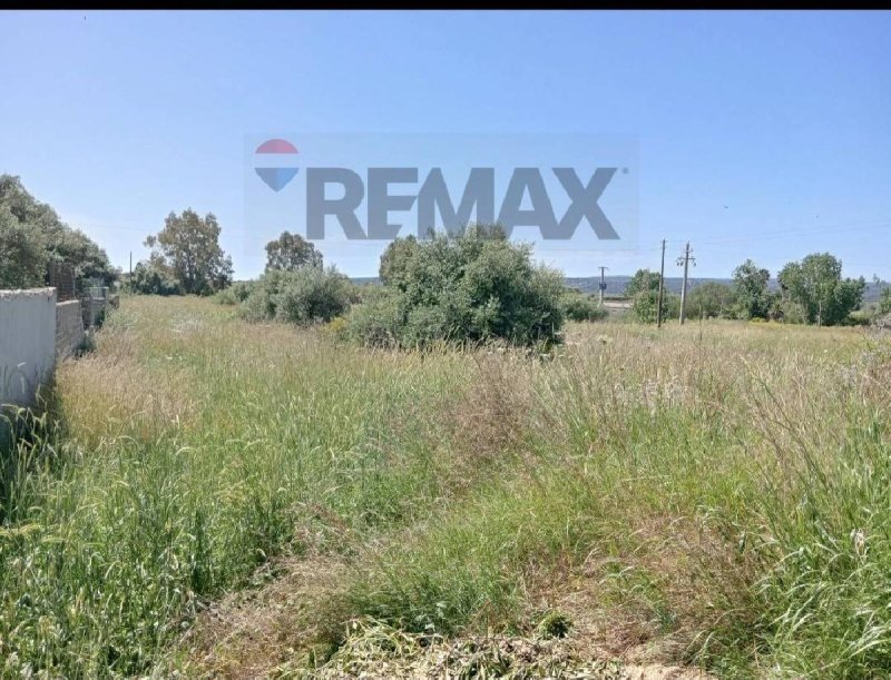 Terreno agrícola en Siracusa