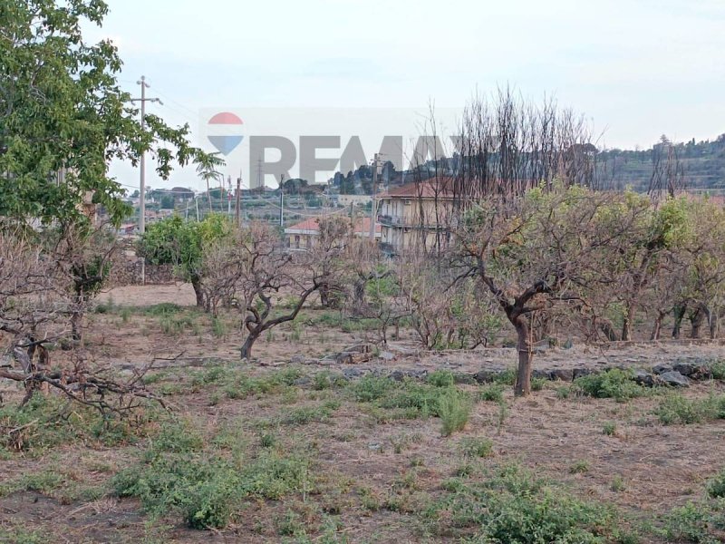 Agricultural land in Aci Catena