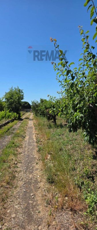 Jordbruksmark i Giarre
