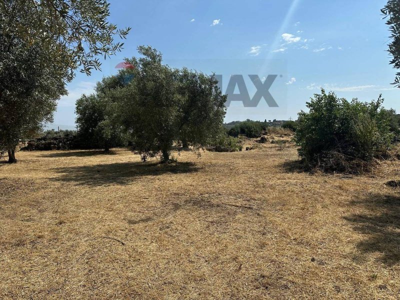 Agricultural land in Misterbianco