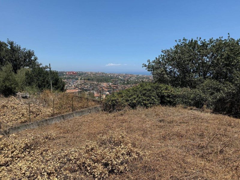 Agricultural land in Aci Catena