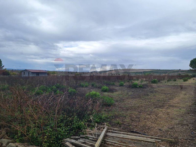 Terreno agrícola en Lentini