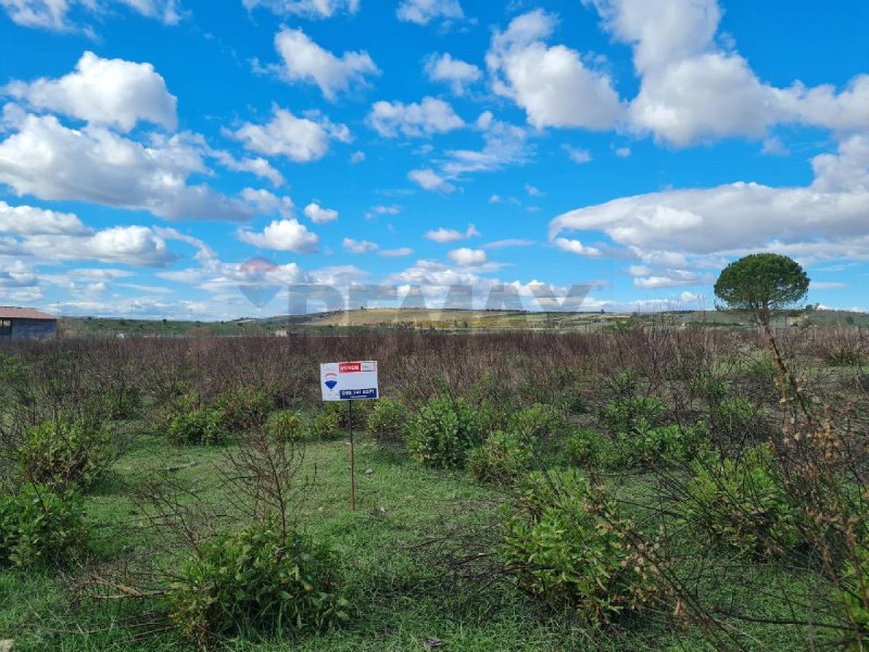 Terreno agrícola en Lentini