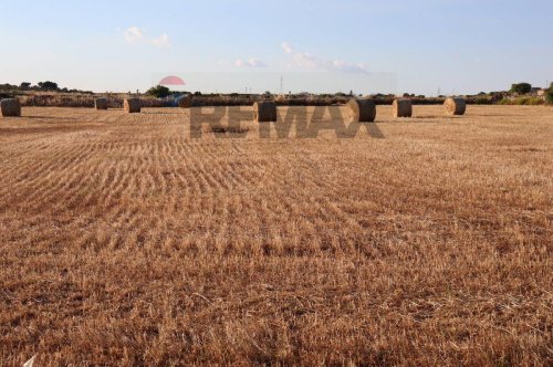 Agricultural land in Ragusa