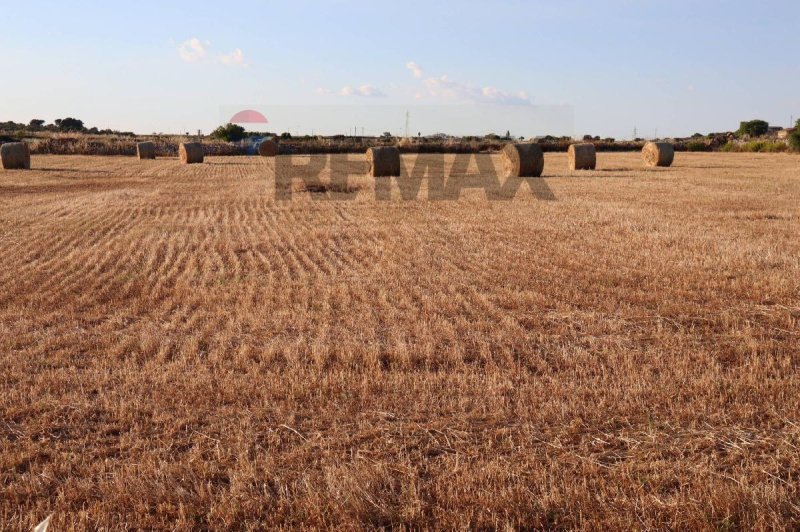 Terrain agricole à Raguse