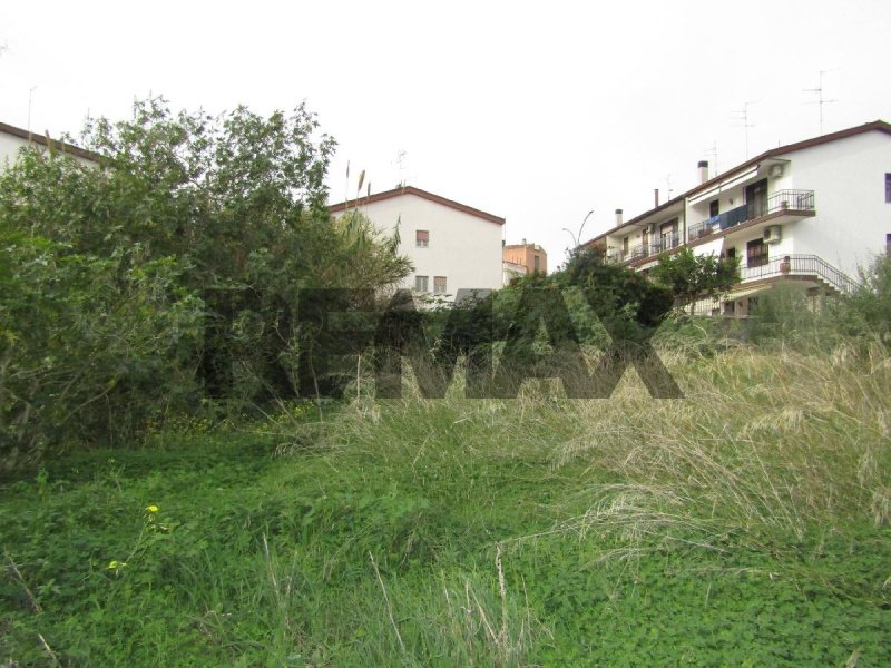 Landbouwgrond in Catania