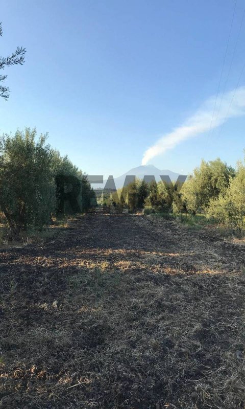 Agricultural land in Belpasso