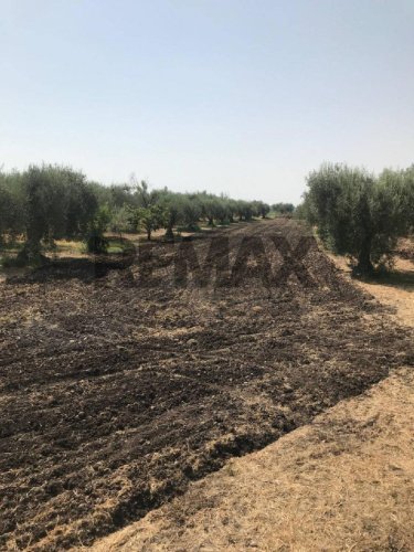 Agricultural land in Belpasso