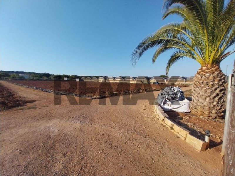 Terreno agrícola en Scicli