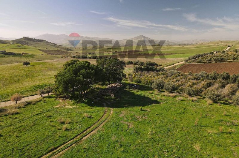 Terreno agricolo a Paternò