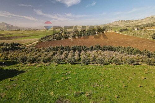 Terreno agricolo a Paternò