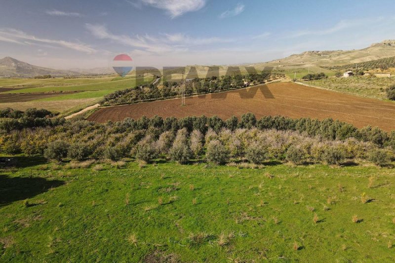 Terreno agricolo a Paternò