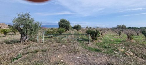 Terreno agrícola en Paternò